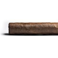 Casa Magna Colorado by Quesada Corona Cigar - 1 Single (End of Line)